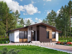 Проекты домов Альфаплан - «Альфа» - проект одноэтажного дома, с сауной и с террасой в скандинавском стиле - превью основного изображения
