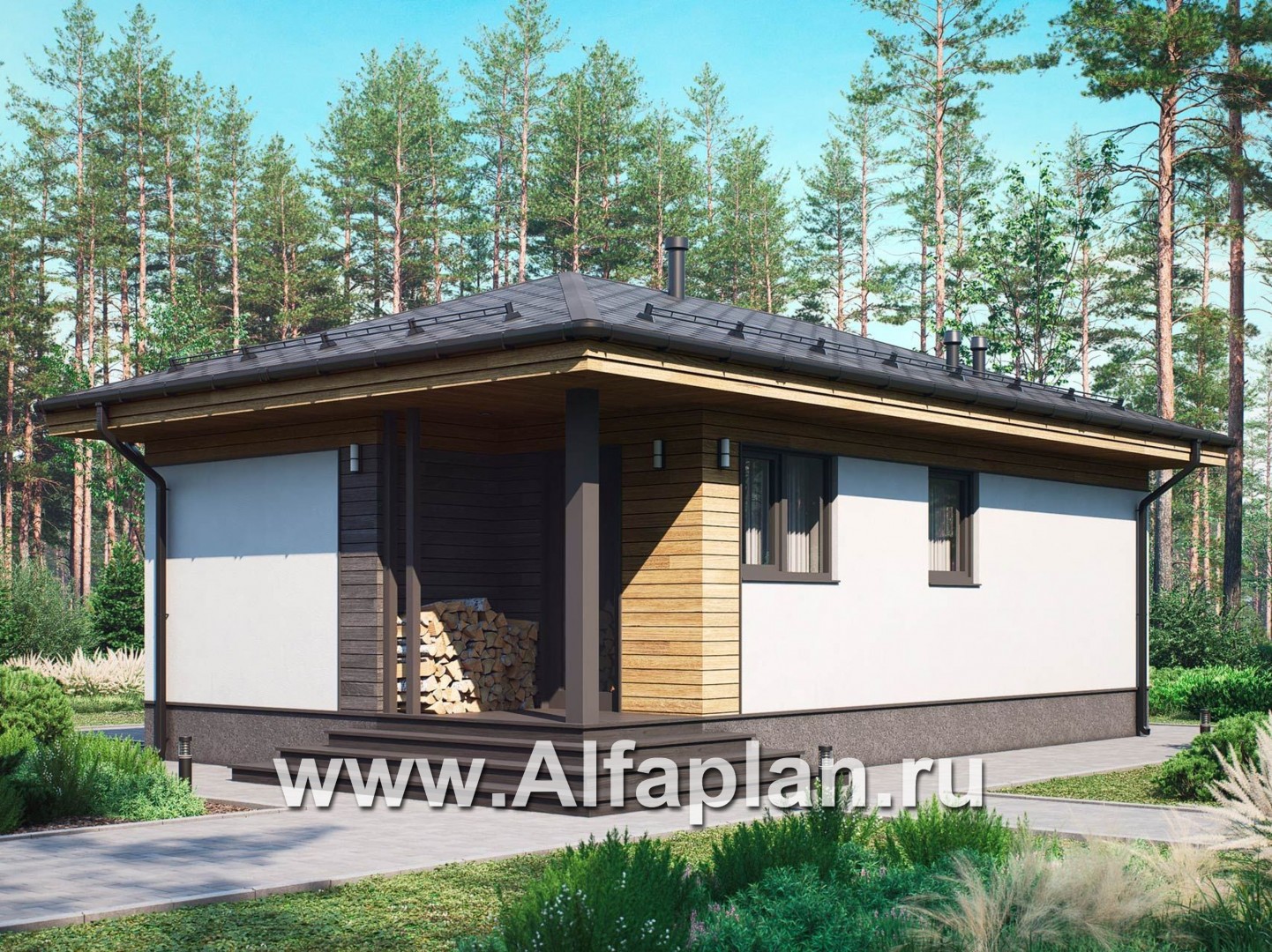 Проект одноэтажного дома, с террасой, одна спальня. Гостевой дом, дача - основное изображение