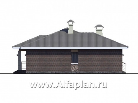 Проекты домов Альфаплан - «Леда» - одноэтажный дом с четырьмя комнатами и террасой - превью фасада №3