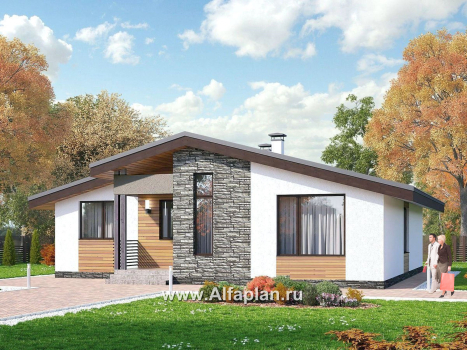Проекты домов Альфаплан - «Калисто» - проект одноэтажного дома,  в скандинавском стиле, с террасой и с островным камином - превью дополнительного изображения №4